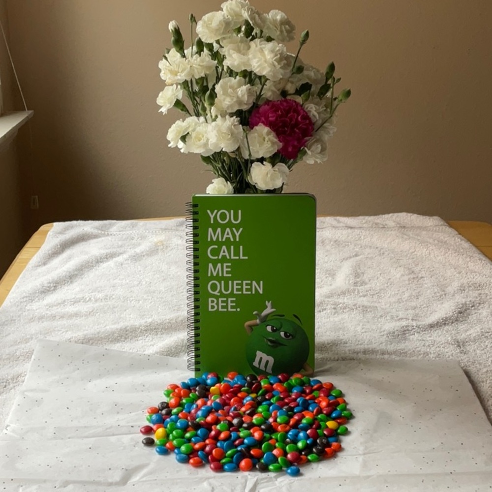 📗💙 M&M’S NOTEBOOK 📗💙 - Picture 3 of 16
